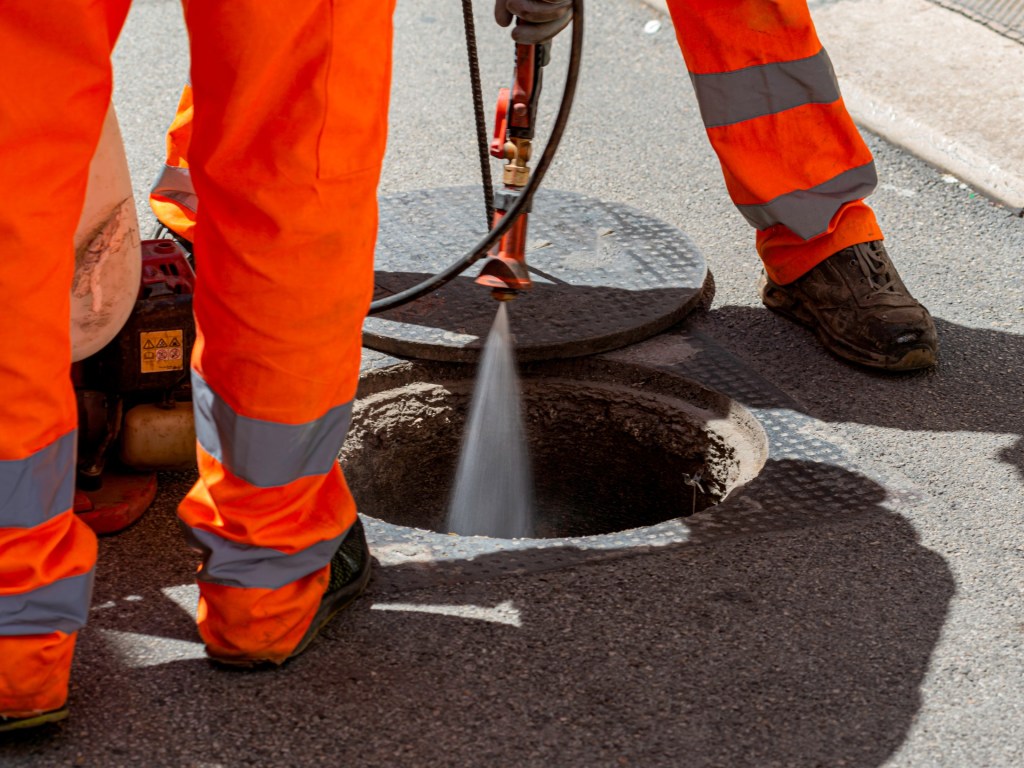 Desinsectación en Murcia