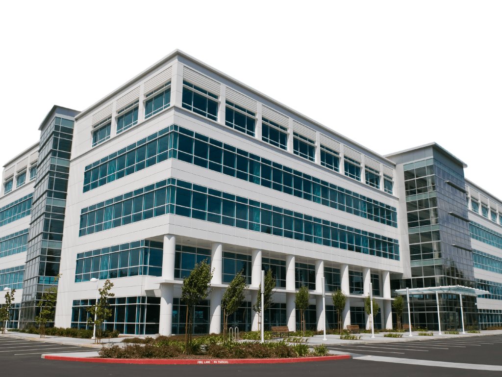 Control de plagas en oficinas