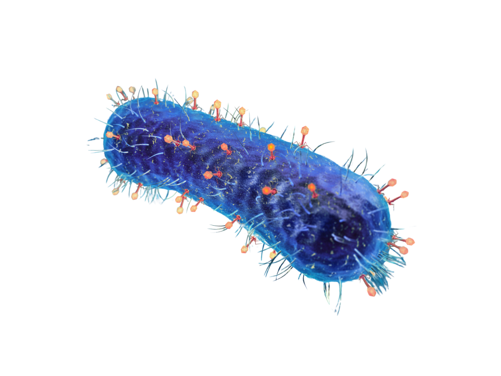 Control de virus, hongos y bacterias