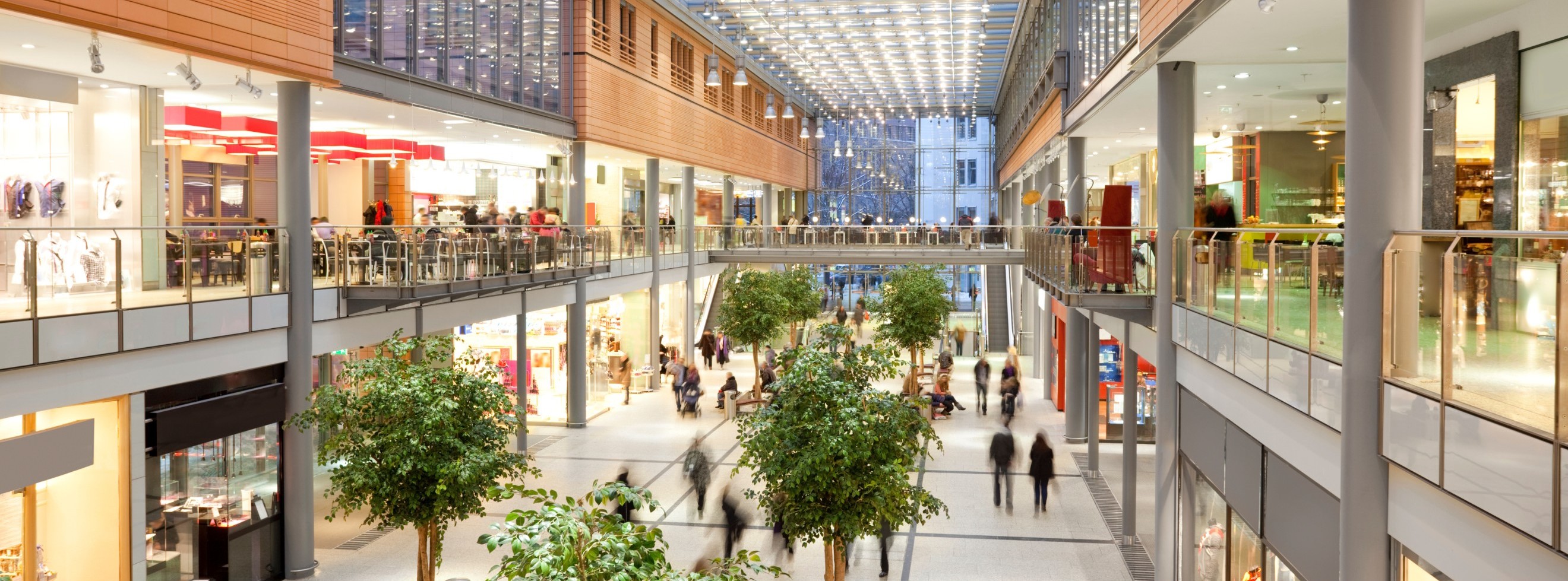 Control de plagas en Comercios