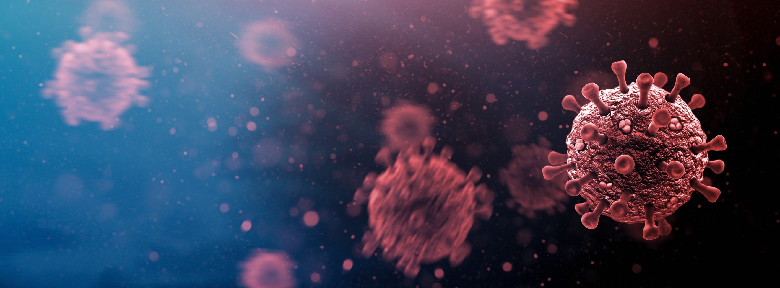 Covid 19, (SARS-CoV-2)