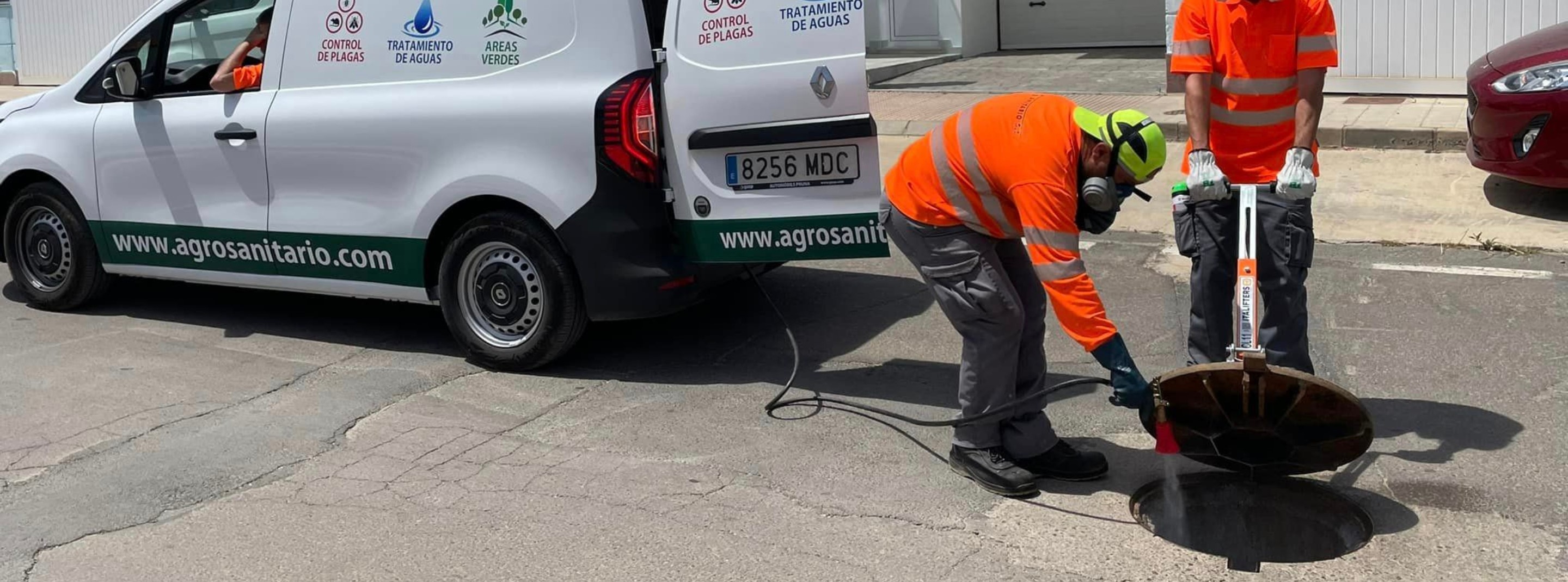 Desinsectación en Murcia