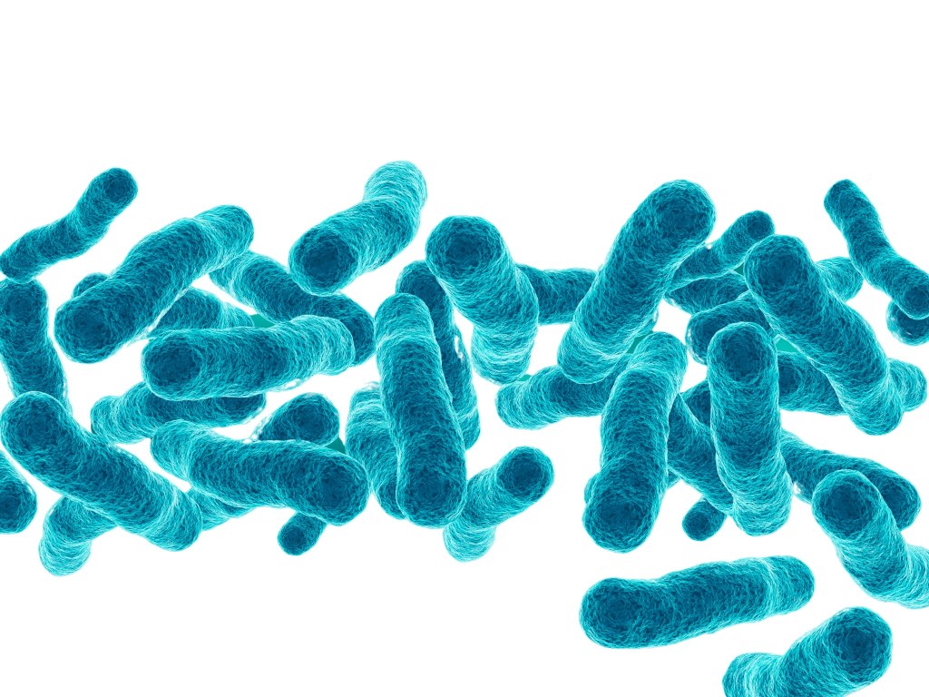 Control de Legionella