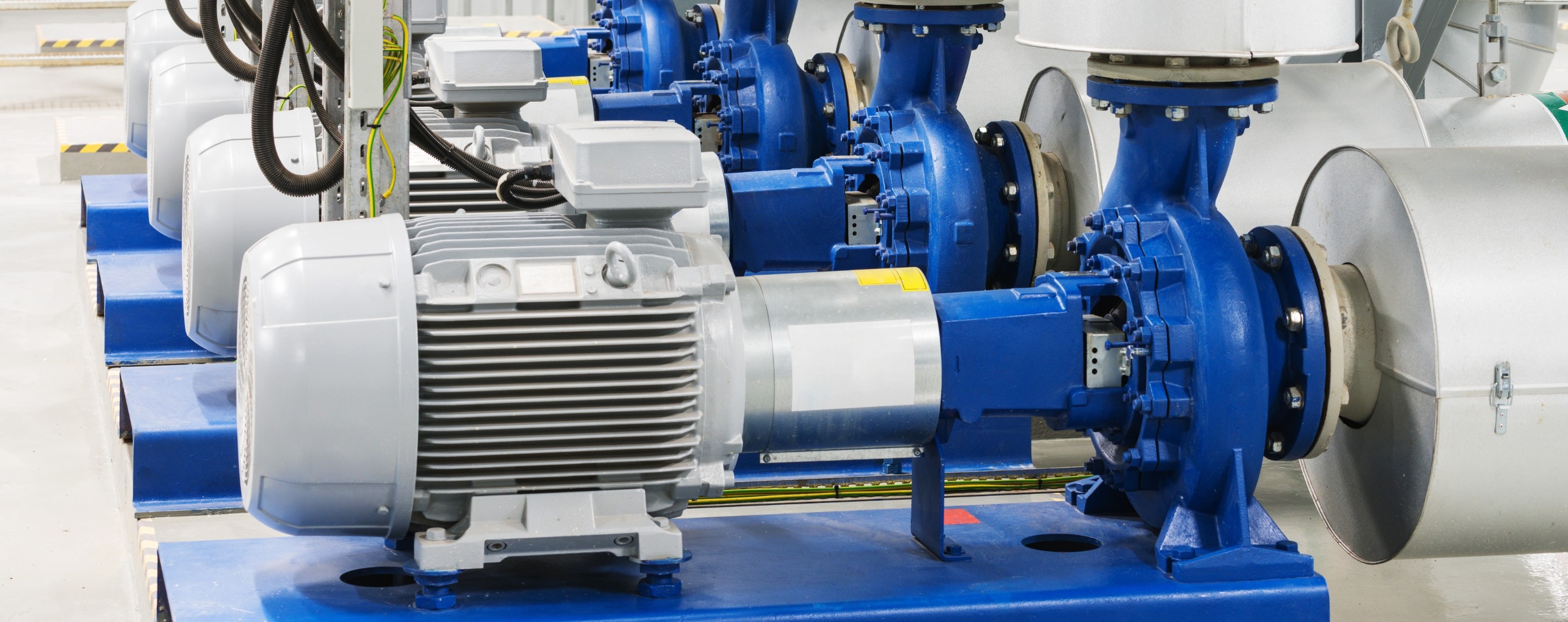 Descalcificación en Murcia